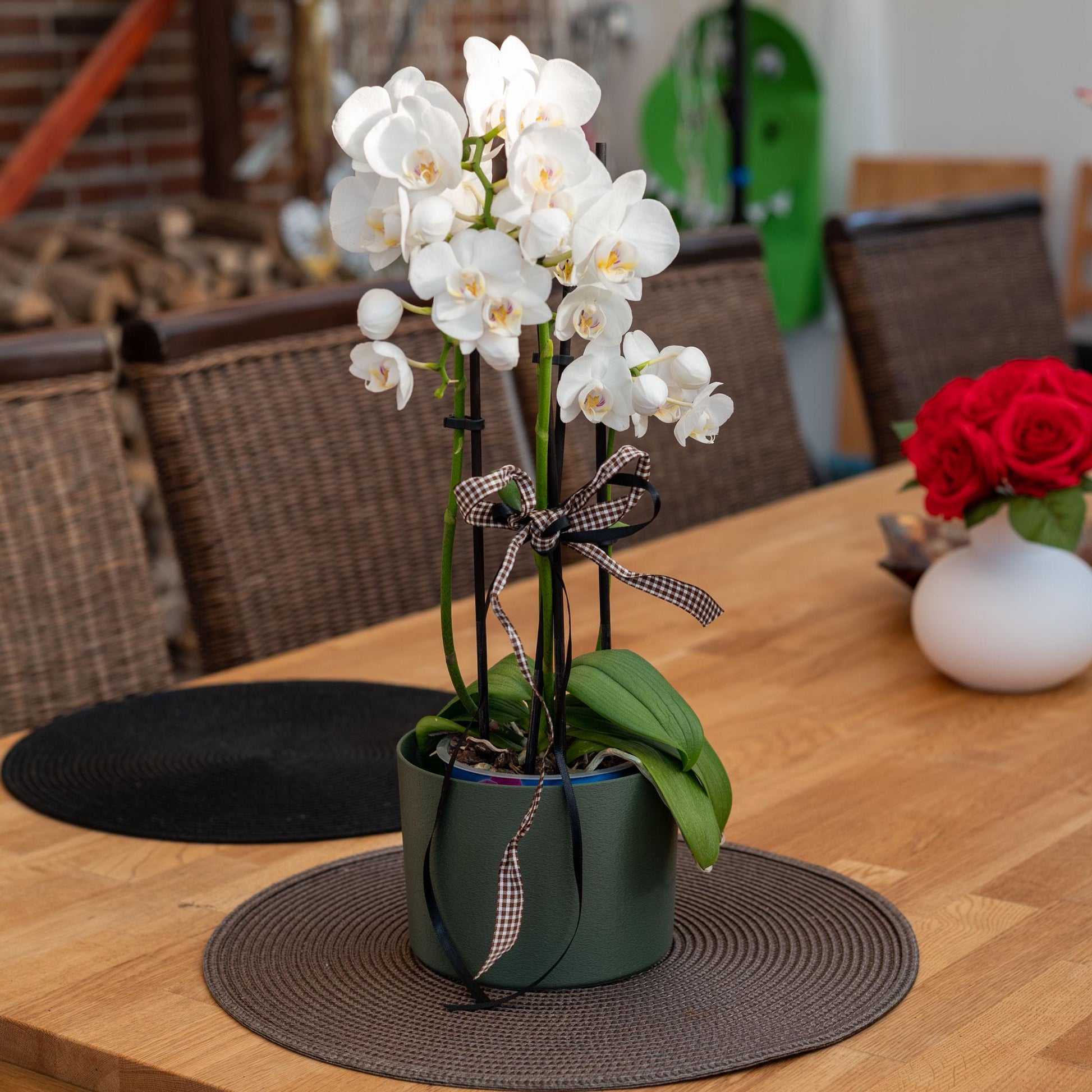 Nachhaltiger Übertopf aus stabilem PLA in Olive matt oder Galaxy Braun mit Schimmer – 3D-gedruckt, umweltfreundlich, handgefertigt und ideal für Pflanzen im Innenbereich