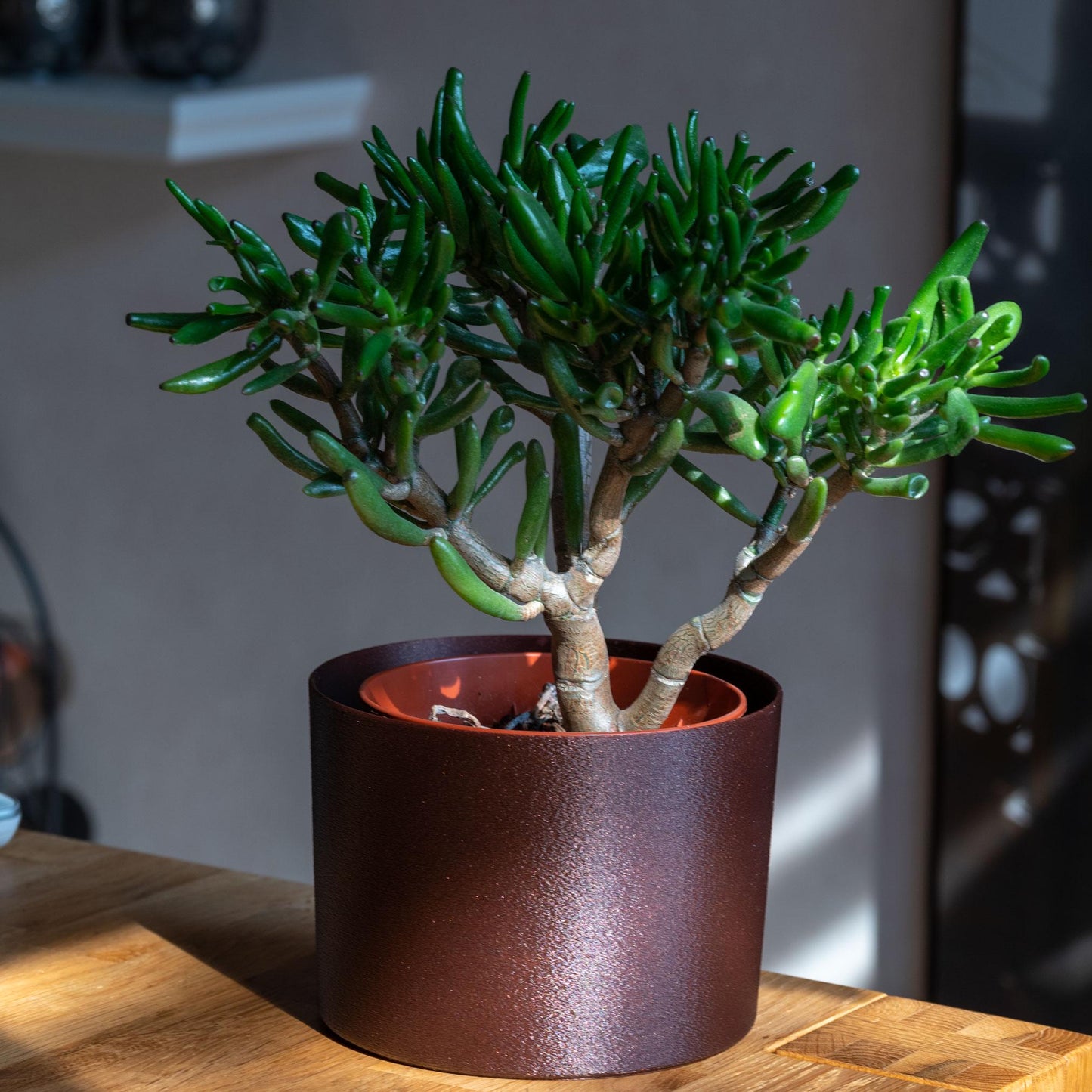 Nachhaltiger Übertopf aus stabilem PLA in Olive matt oder Galaxy Braun mit Schimmer – 3D-gedruckt, umweltfreundlich, handgefertigt und ideal für Pflanzen im Innenbereich