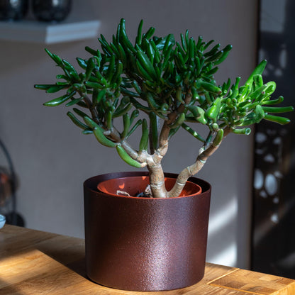 Nachhaltiger Übertopf aus stabilem PLA in Olive matt oder Galaxy Braun mit Schimmer – 3D-gedruckt, umweltfreundlich, handgefertigt und ideal für Pflanzen im Innenbereich