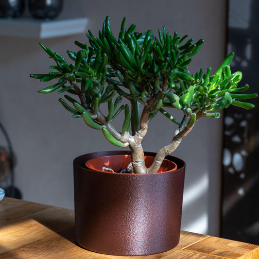 Nachhaltiger Übertopf aus stabilem PLA in Olive matt oder Galaxy Braun mit Schimmer – 3D-gedruckt, umweltfreundlich, handgefertigt und ideal für Pflanzen im Innenbereich