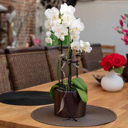 Nachhaltiger Übertopf aus stabilem PLA in Olive matt oder Galaxy Braun mit Schimmer – 3D-gedruckt, umweltfreundlich, handgefertigt und ideal für Pflanzen im Innenbereich