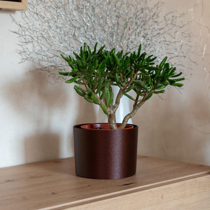 Nachhaltiger Übertopf aus stabilem PLA in Olive matt oder Galaxy Braun mit Schimmer – 3D-gedruckt, umweltfreundlich, handgefertigt und ideal für Pflanzen im Innenbereich